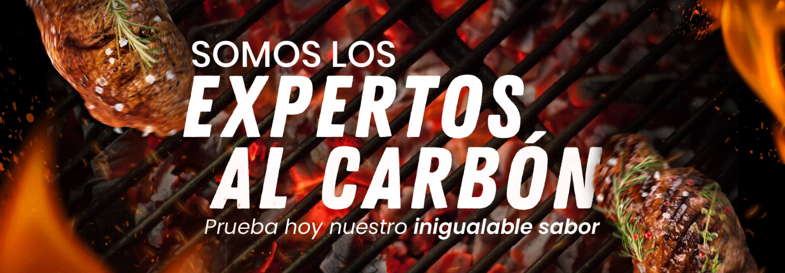 Somos los expertos al carbón